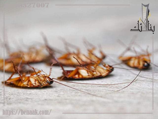 طرق التخلص من الحشرات