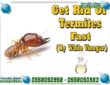 شركة مكافحة النمل الابيض 
