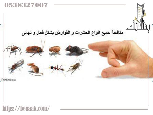 ارقام مكافحة الحشرات بالرياض